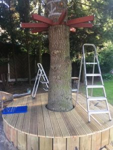 Decking Around Tree Work In Progress